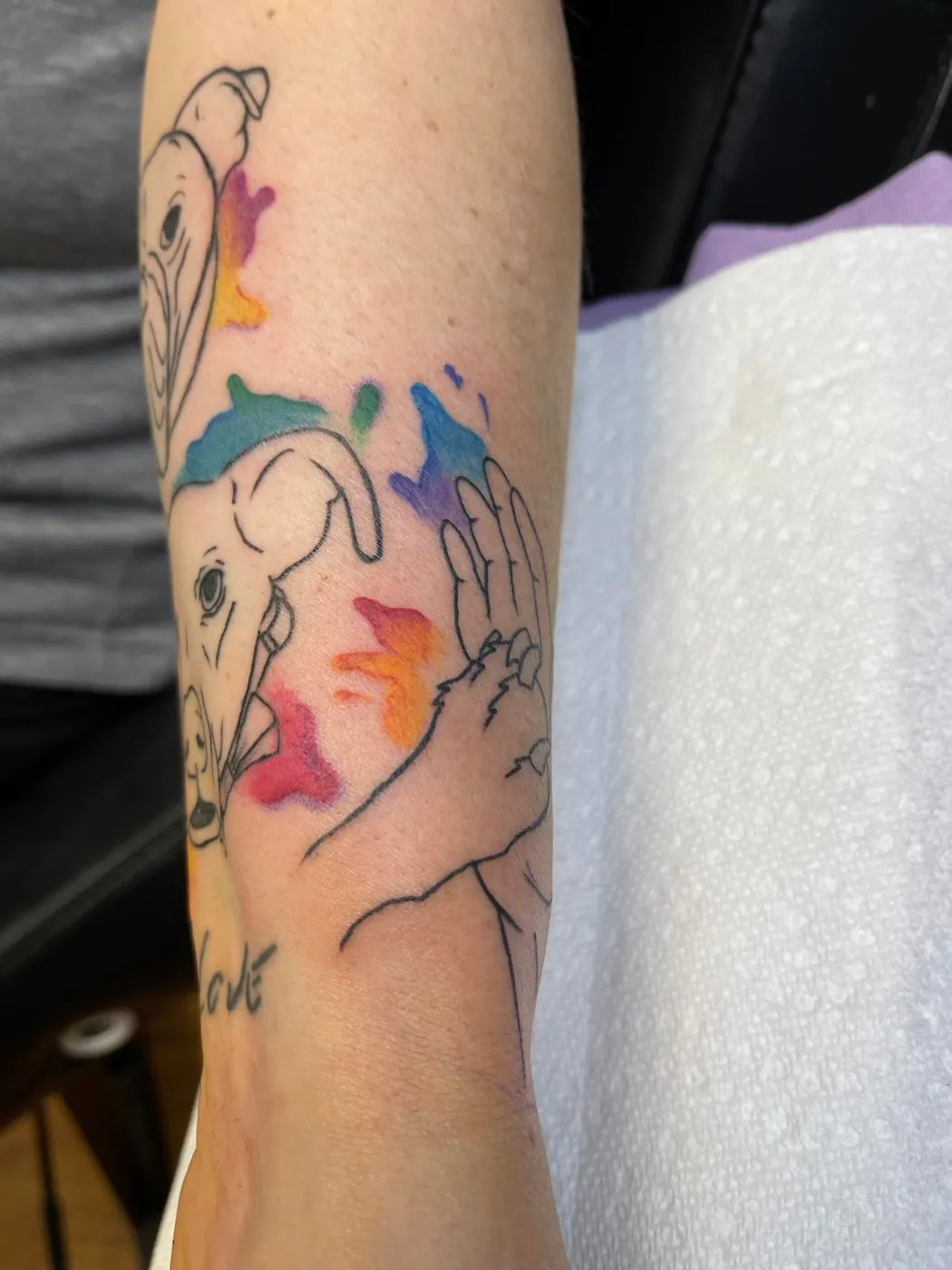 Colour tattoo by Ireland Bower, 5 of 7